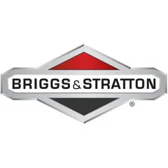 Briggs & Stratton 199629GS Foam Seal